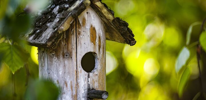 Vogelhäuschen im privaten Garten